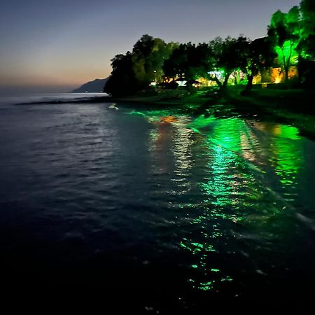 Nikkon Luxury Living Villa Arvi  Exterior photo
